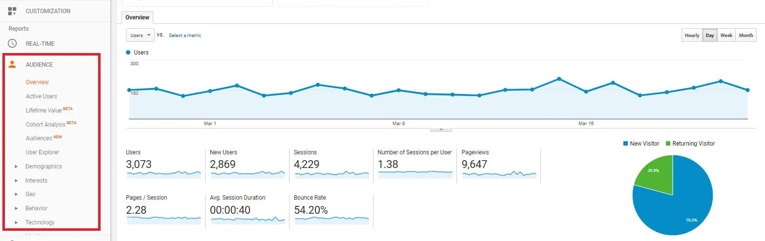 Audience Section in Google Analytics